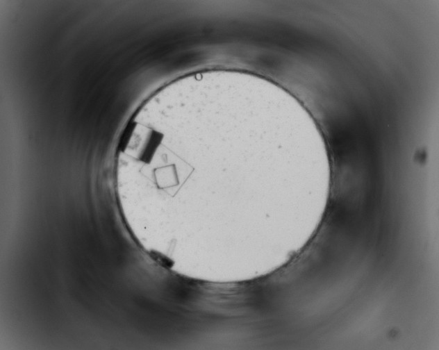 X0000103901342200810311401