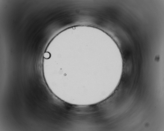 X0000103901343200810311401