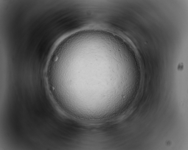 X0000103901344200810311401