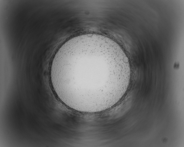 X0000103901345200810311400