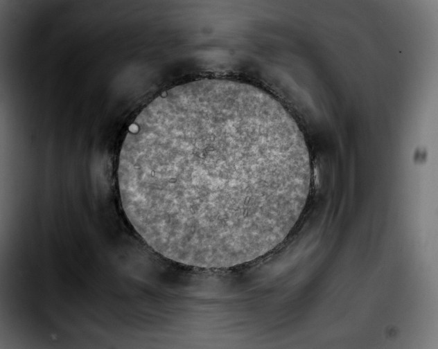 X0000103901347200810311400