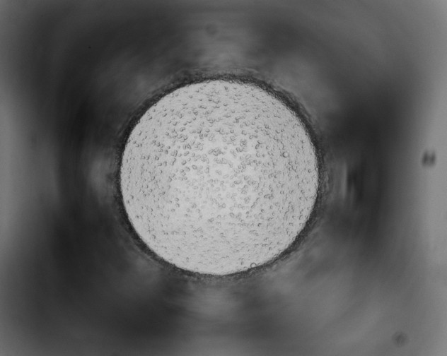 X0000103901348200810311400