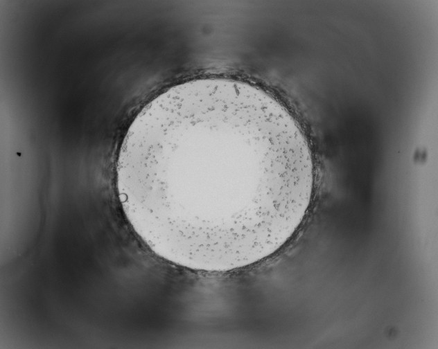 X0000103901349200810311400