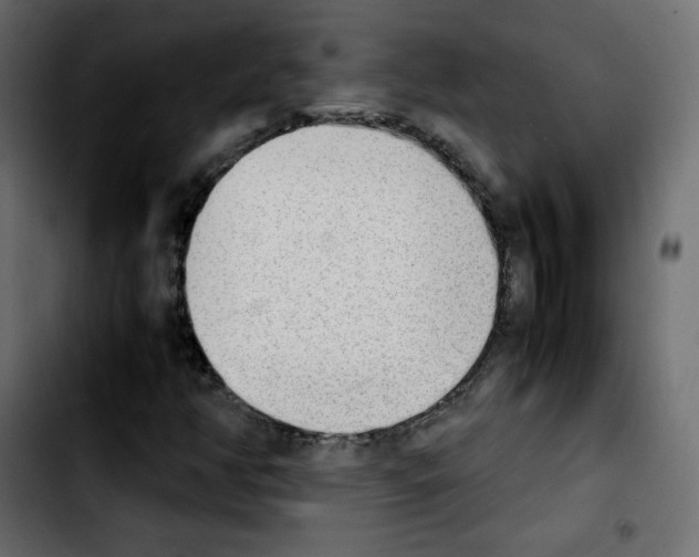 X0000103901350200810311400