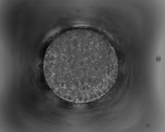 X0000103901351200810311400