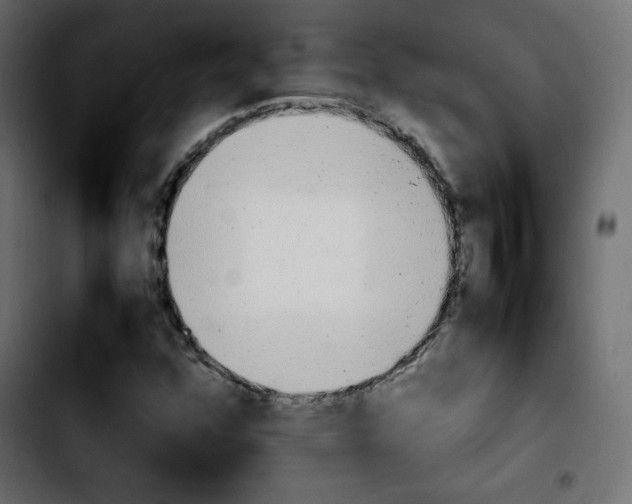 X0000103901352200810311400