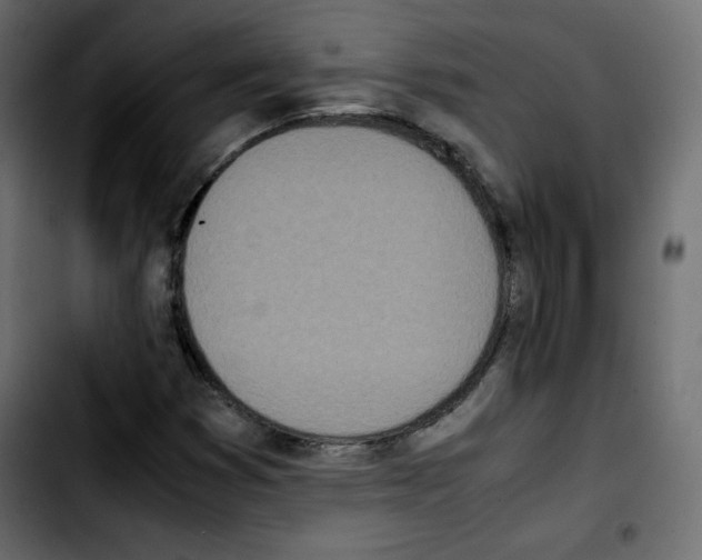 X0000103901353200810311400