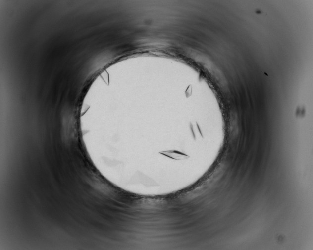 X0000103901354200810311400