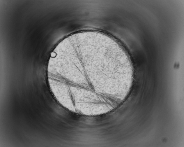 X0000103901355200810311400