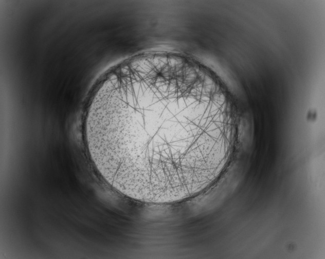 X0000103901356200810311400