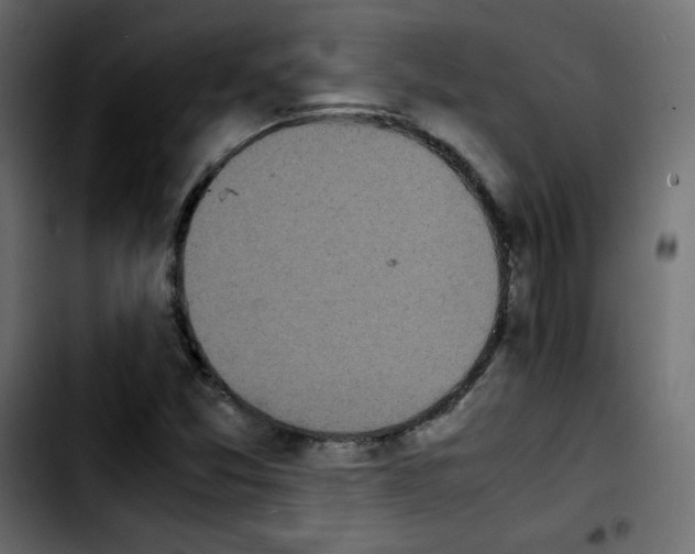 X0000103901357200810311400