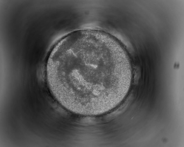 X0000103901358200810311400