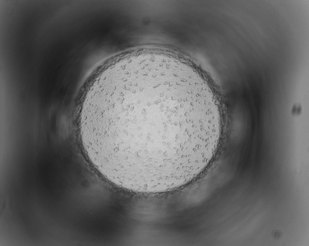 X0000103901360200810311400