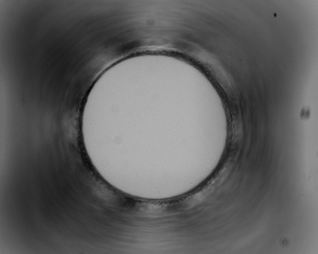 X0000103901361200810311400