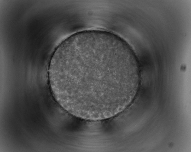 X0000103901363200810311400