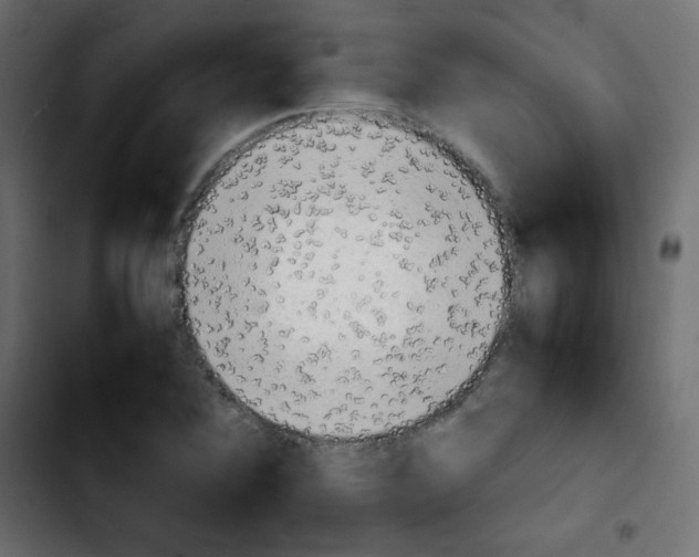 X0000103901364200810311400