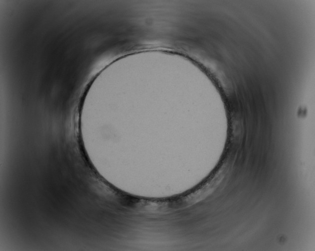 X0000103901365200810311400