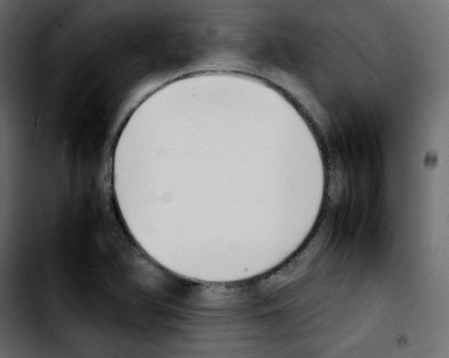 X0000103901366200810311400