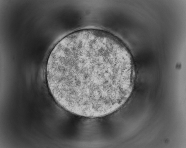 X0000103901367200810311400