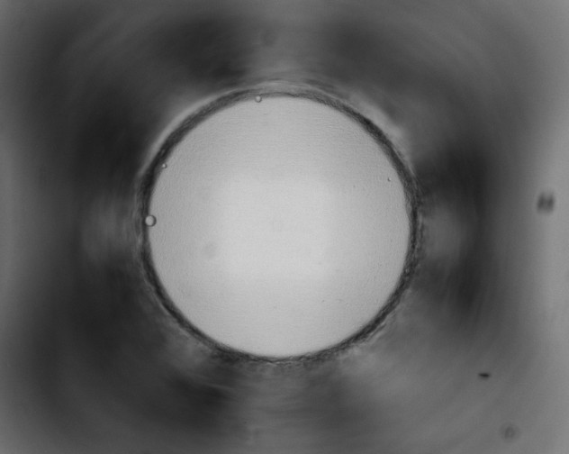 X0000103901368200810311400