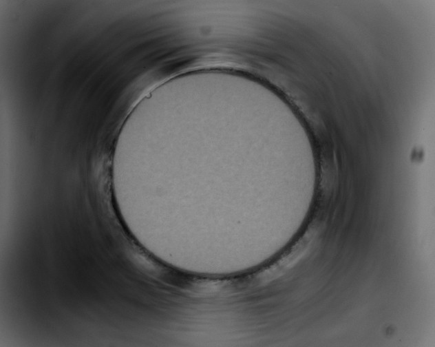 X0000103901369200810311400