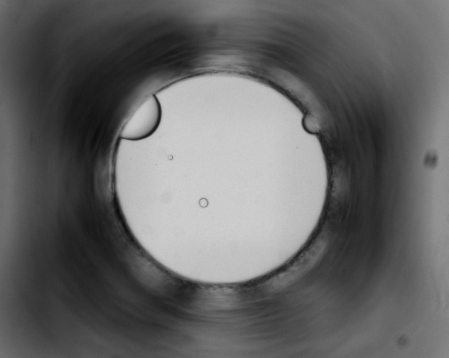 X0000103901370200810311400