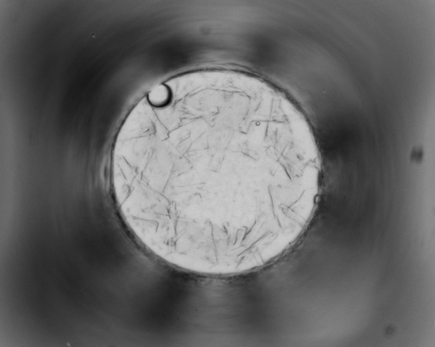 X0000103901371200810311400