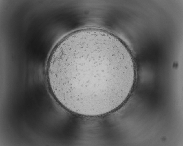 X0000103901372200810311400