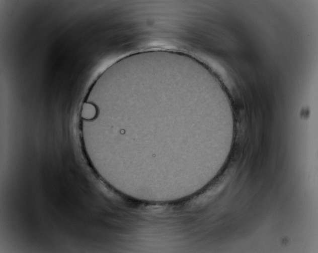 X0000103901373200810311400