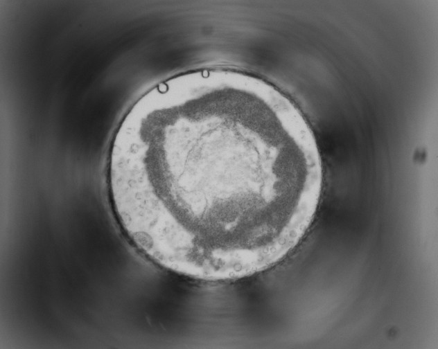 X0000103901375200810311400