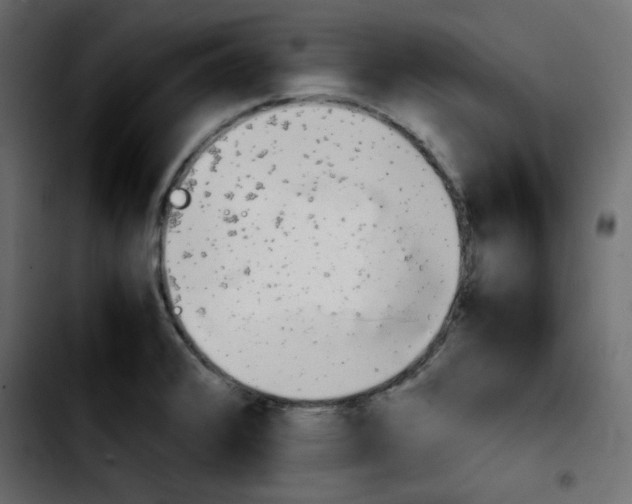 X0000103901376200810311400