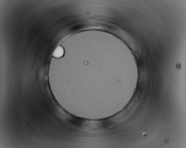 X0000103901377200810311400