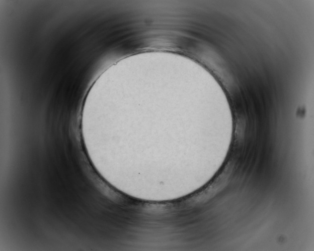 X0000103901378200810311400