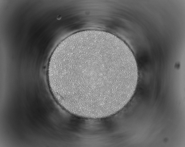 X0000103901379200810311400