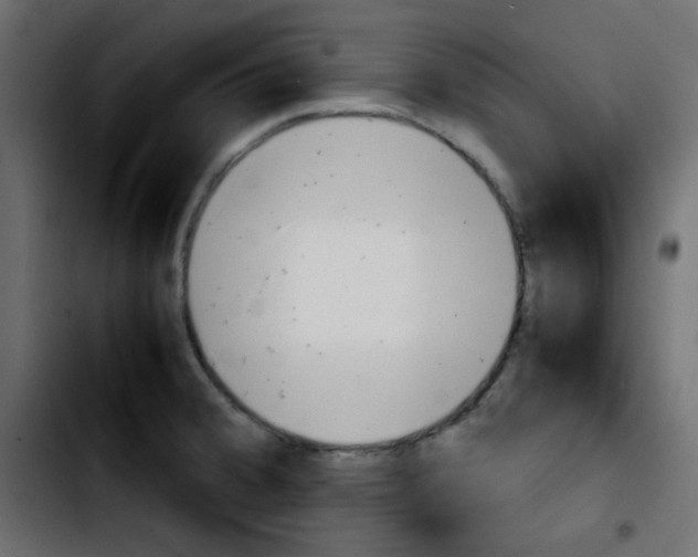 X0000103901380200810311400