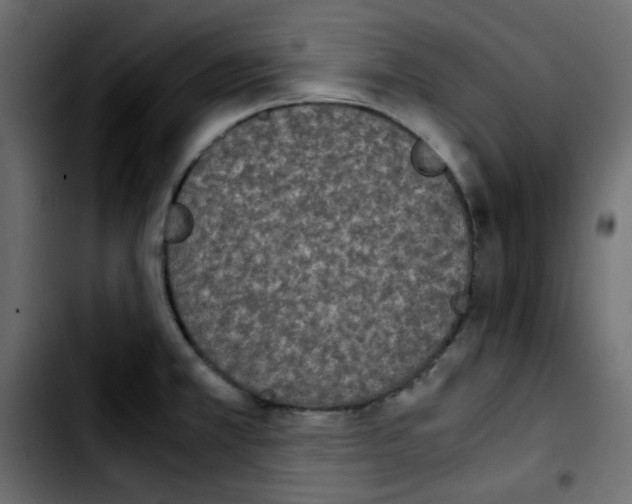 X0000103901381200810311400