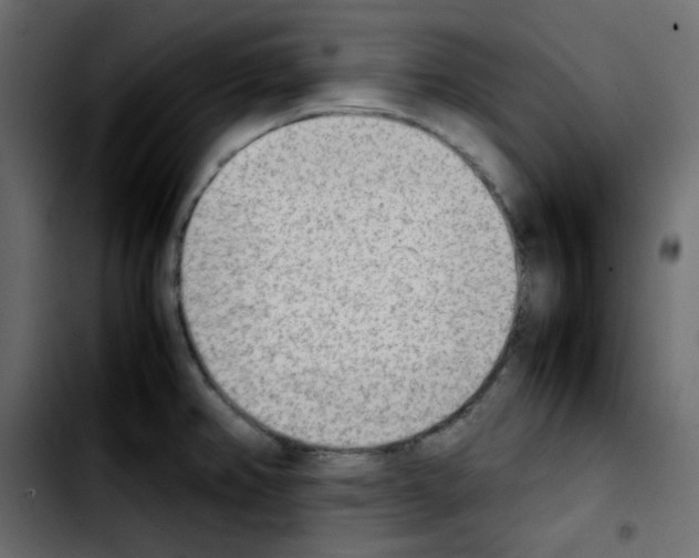 X0000103901382200810311400