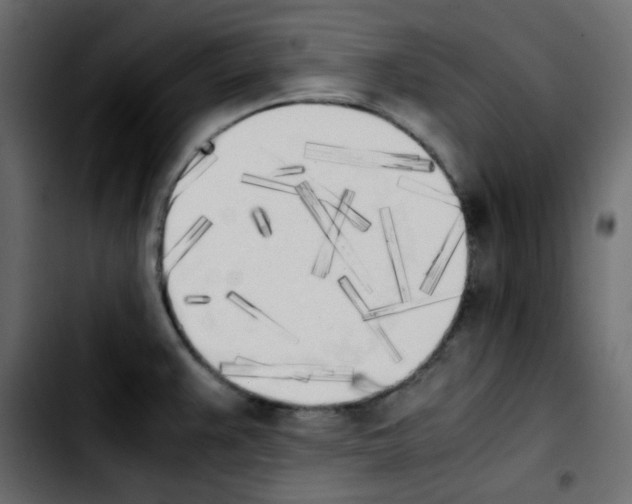 X0000103901383200810311400