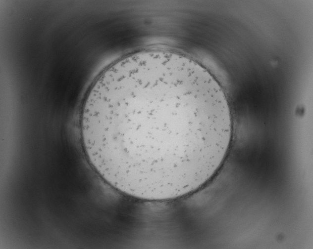 X0000103901384200810311400