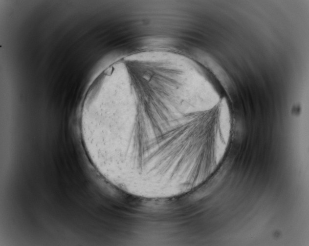 X0000103901386200810311400