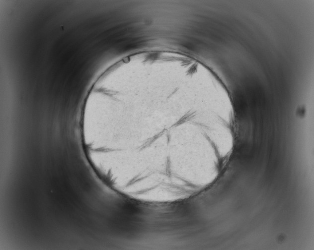 X0000103901387200810311400