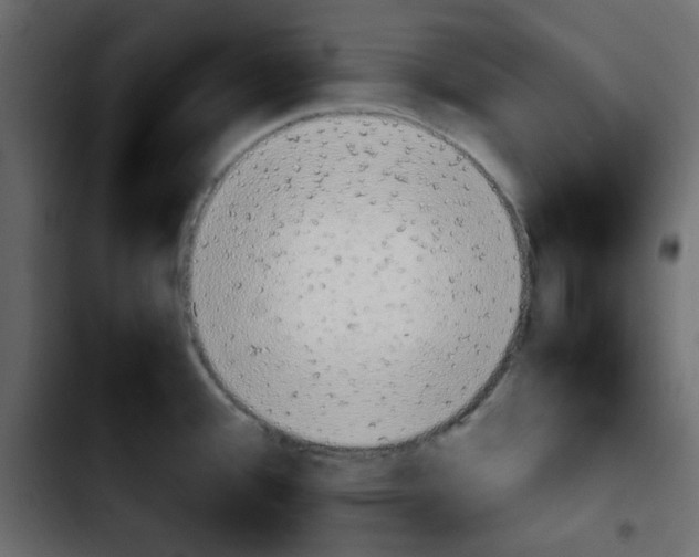 X0000103901388200810311359