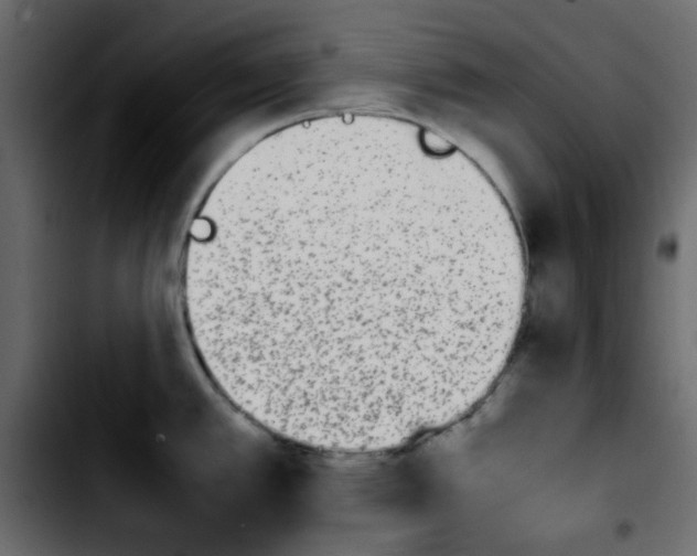 X0000103901389200810311359