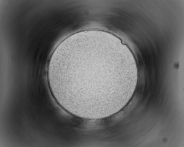 X0000103901390200810311359