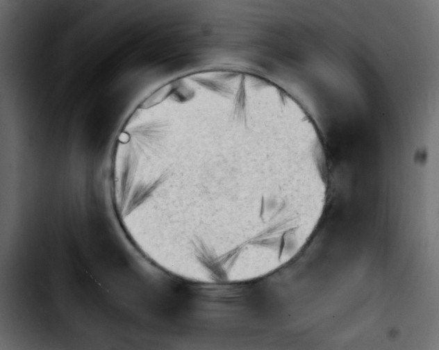 X0000103901391200810311359