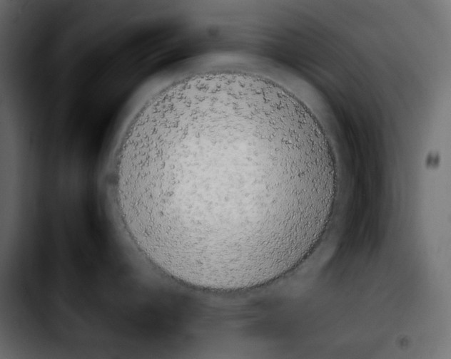 X0000103901392200810311359