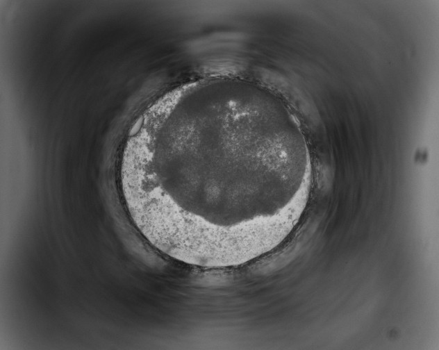 X0000103901393200810311359