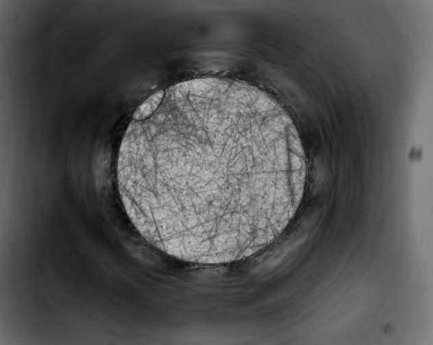 X0000103901394200810311359