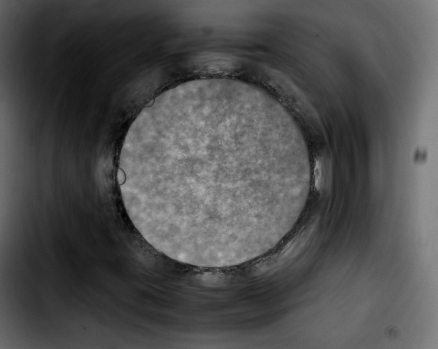 X0000103901395200810311359