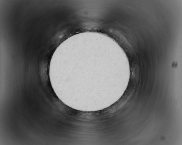 X0000103901396200810311359